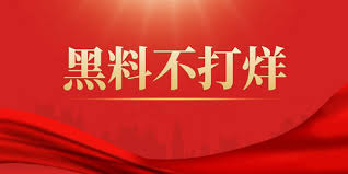 国产在线观看精品